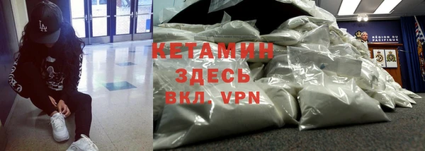 индика Богданович