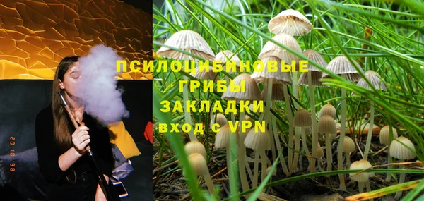 ешки Богородск