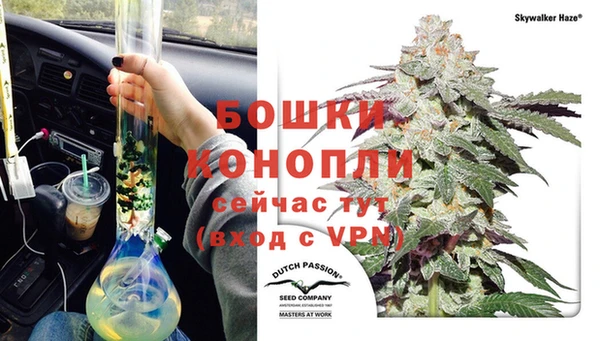 индика Богданович