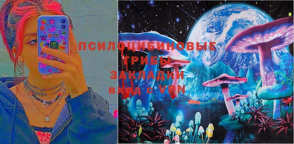 spice Бронницы