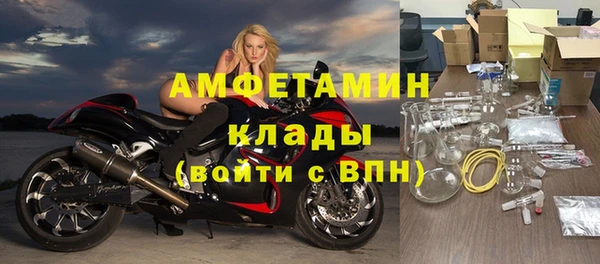 индика Богданович