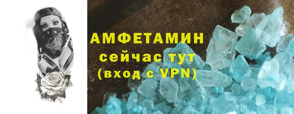 индика Богданович